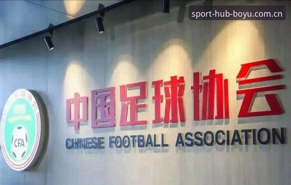 中国足协第三批禁足名单深度评测：65人受罚背后的行业生态重构