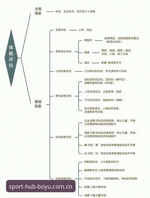 博鱼体育平台评价深度分析：功能、体验与稳定性的全面解析